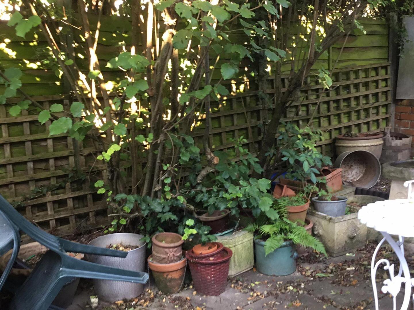 Lowri Cottage Hotel Shenstone Luaran gambar
