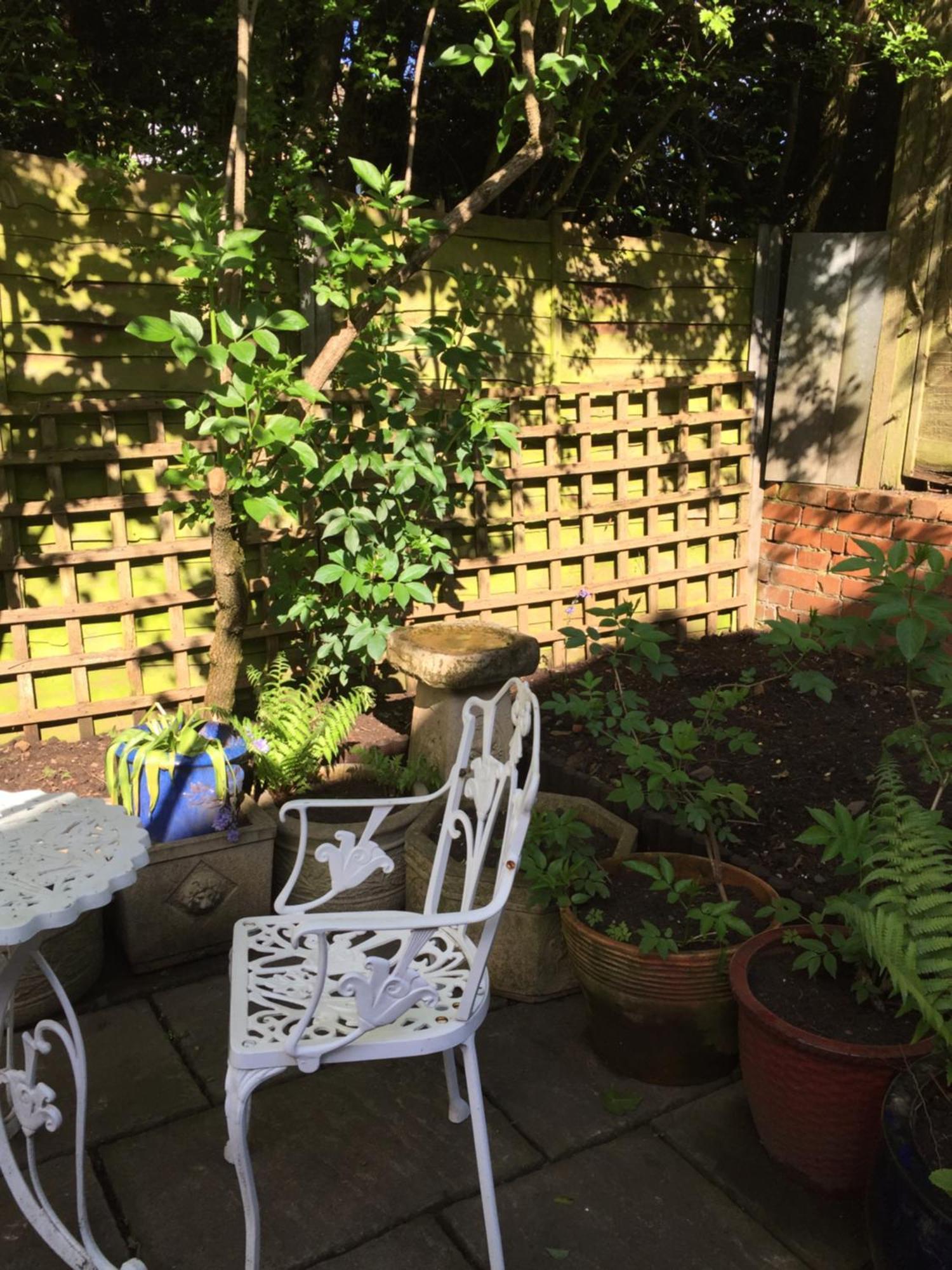 Lowri Cottage Hotel Shenstone Luaran gambar